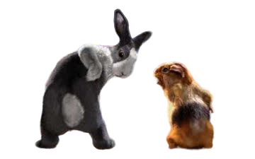 Block Buster Mascotes