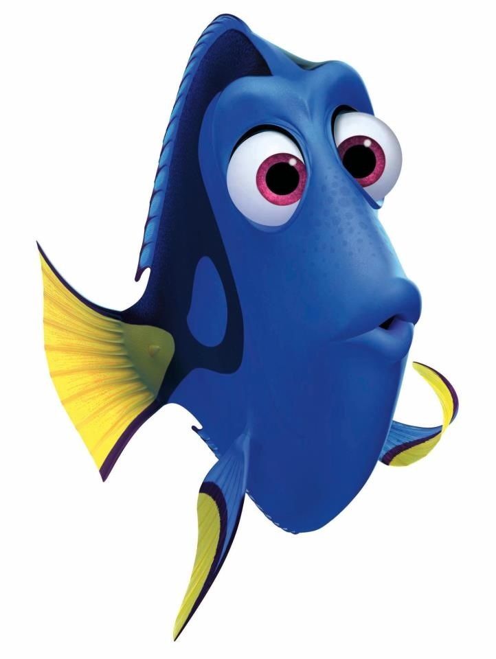 Dory
