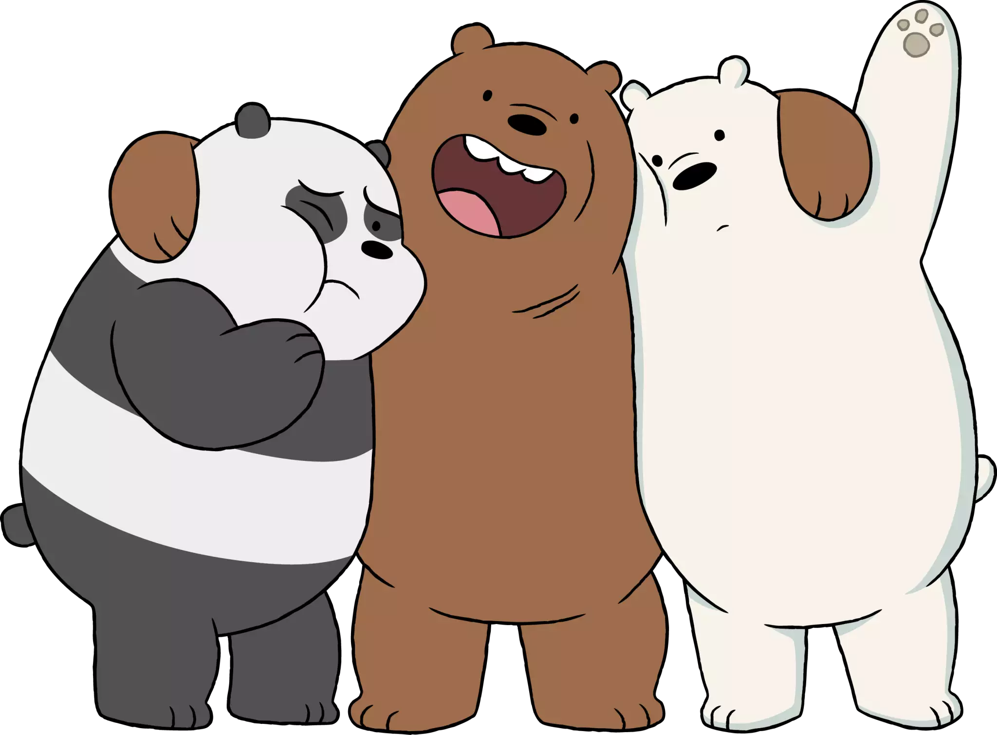Panda Pardo e Polar