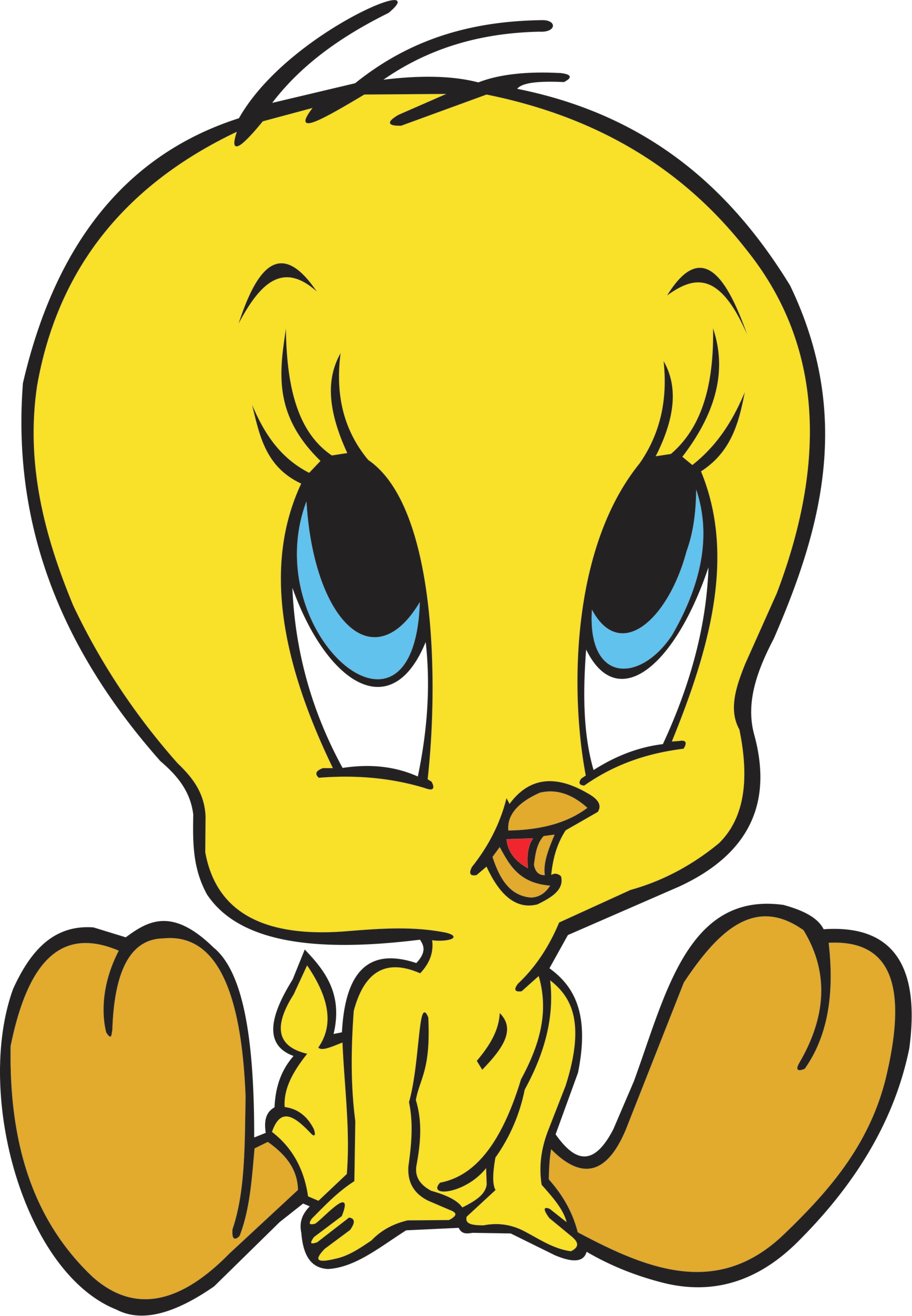 Piu Piu